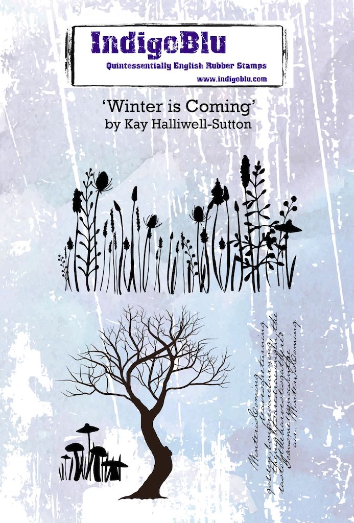 Winter is Coming A6 Red Rubber Stamp